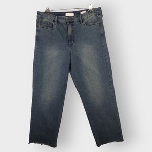 Sanctuary Social Standard Crop‎ Straight Leg Jeans Women 16 Blue High Rise D57